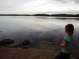 Loon watching