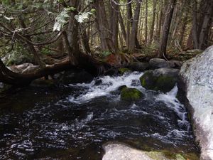 Gillis ~ Crooked portage rapids