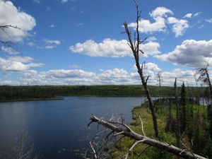 Cavity Lake fire damage