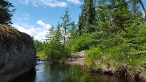 Shell Lake Camp
