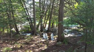 Shell to Little Shell Portage
