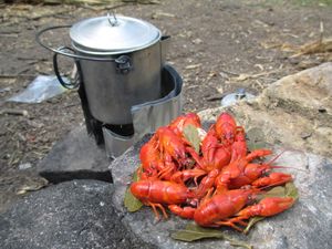 Crawfish boil