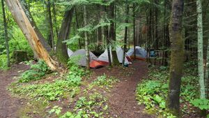 Oyster Lake Camp