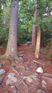 Oyster Lake to Oyster River Portage