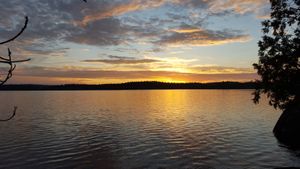 Oyster Lake Camp