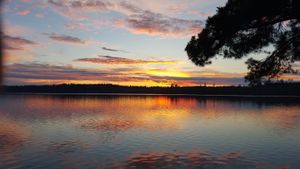 Oyster Lake Camp