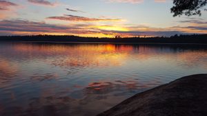 Oyster Lake Camp