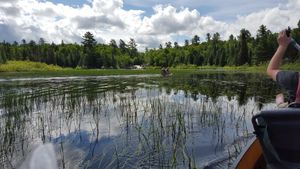 Moose River Falls