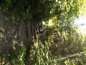 Portage PP