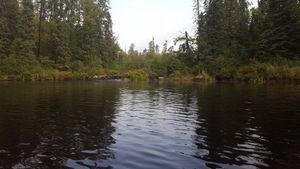 rapids