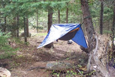 Hammock and tarp