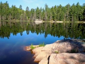 Angleworm narrows