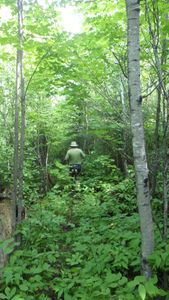 Hiking in the Green