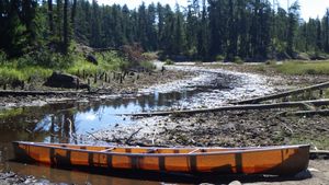 Paddle in Low Water