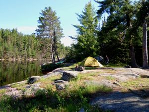 Angleworm narrows campsite