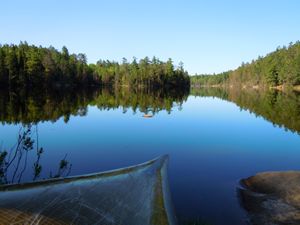 Angleworm narrows campsite