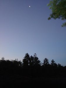 Morning Moon
