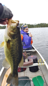 Largemouth at long last