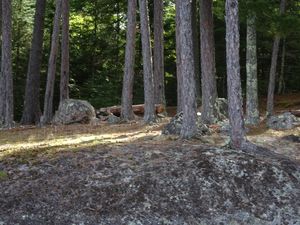 Campsite