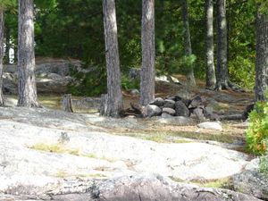 Campsite