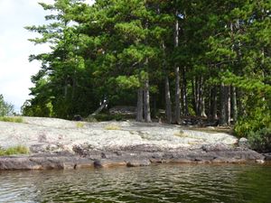 Campsite