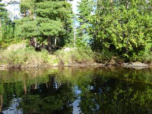 Campsite