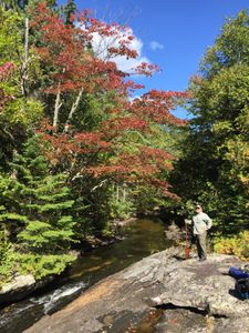 2017-09-08_583_Quetico_Falls_Chain_Bird_to_Anubis_Lake_Portage.jpg