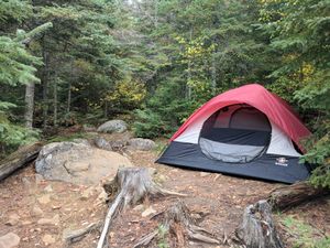 Snipe Lake Campsite