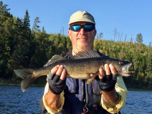 Another Kawnipi Walleye
