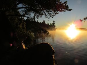 Winchell sunrise from the hammock