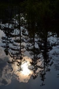Upside down?