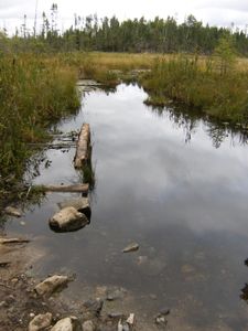 Jitterbug Lake portage