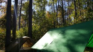 Sunny camp