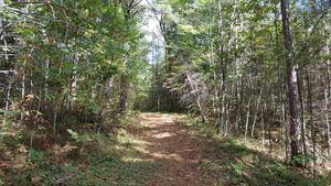 Lumberjack Trail