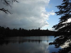 DSCF1398.JPG