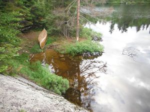 DSCF1539.JPG