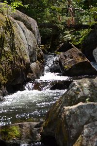 Portage to Rose Lake