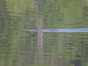 DSCN0682.JPG