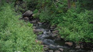 DSCF9012.JPG