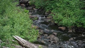 DSCF9013.JPG