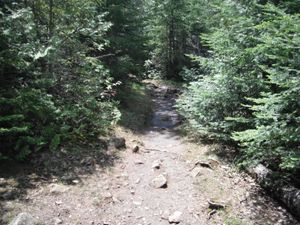 DSCF5386.JPG
