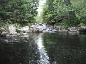 DSCF5389.JPG