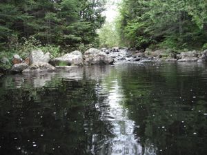 DSCF5391.JPG