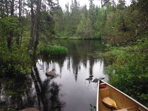 DSCF1618.JPG