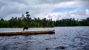 Sawbill pier