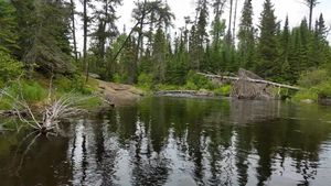 Portage #600 out of Jack Lake