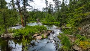 Portage #600