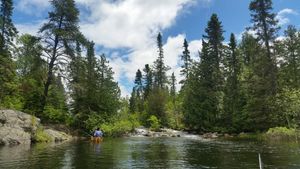 West end of Portage #575 Temperance to Brule