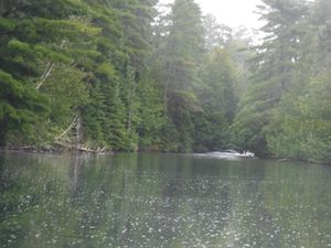 DSCF0472.JPG