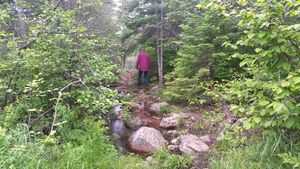 Day 3 Portage out of Temperance to Brule